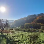 Domo En Plena Naturaleza * Igorre