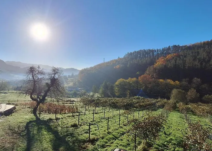 Domo En Plena Naturaleza * Igorre